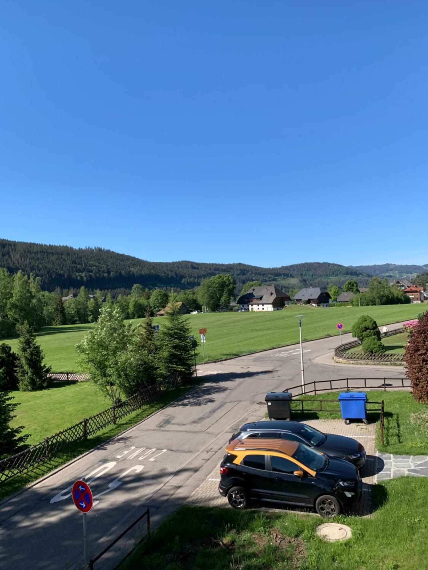 Ferienwohnung Homburger - Titisee Εξωτερικό φωτογραφία