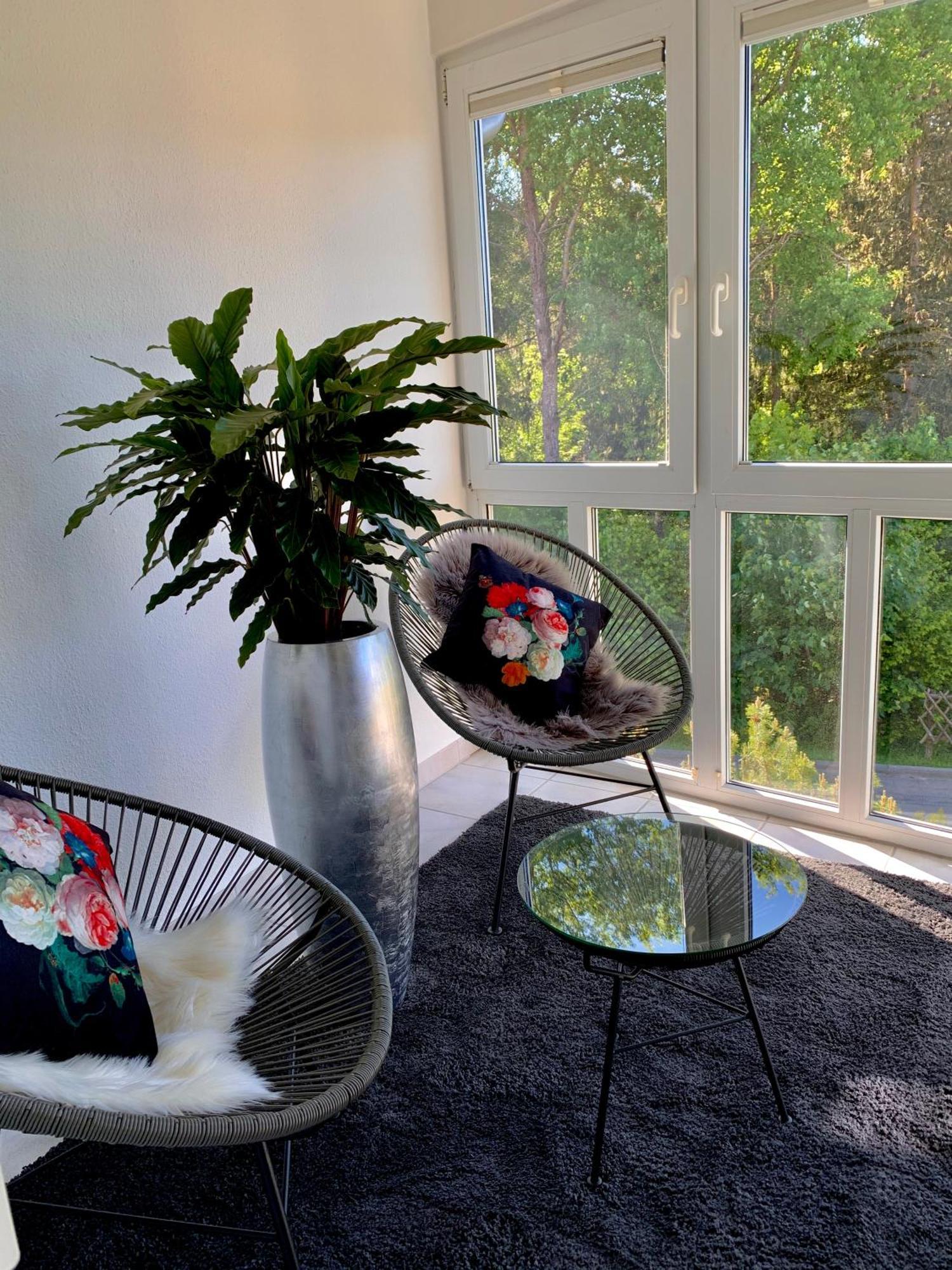 Ferienwohnung Homburger - Titisee Εξωτερικό φωτογραφία